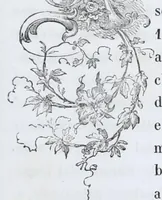 An illustration from Pinacoteca veneta, ossia, Raccolta dei migliori dipinti delle chiese di Venezia (1858)