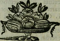 An illustration from Pinacotheca, siue, Romana pictura et sculptura, libri duo : in quibus excellentes quaedam, qua profanae, qua sacrae, quae Romae extant, picturae ac statuae, epigrammatis exornantur : accessit odarum appendicula, ad lyrici carminis libamentum (1673)