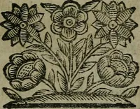 An illustration from Pinacotheca, siue, Romana pictura et sculptura, libri duo : in quibus excellentes quaedam, qua profanae, qua sacrae, quae Romae extant, picturae ac statuae, epigrammatis exornantur : accessit odarum appendicula, ad lyrici carminis libamentum (1673)