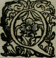 An illustration from Pinacotheca, siue, Romana pictura et sculptura, libri duo : in quibus excellentes quaedam, qua profanae, qua sacrae, quae Romae extant, picturae ac statuae, epigrammatis exornantur : accessit odarum appendicula, ad lyrici carminis libamentum (1673)