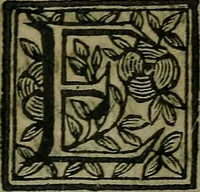 An illustration from Pinacotheca, siue, Romana pictura et sculptura, libri duo : in quibus excellentes quaedam, qua profanae, qua sacrae, quae Romae extant, picturae ac statuae, epigrammatis exornantur : accessit odarum appendicula, ad lyrici carminis libamentum (1673)