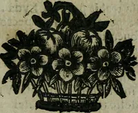 An illustration from Pinacotheca, siue, Romana pictura et sculptura, libri duo : in quibus excellentes quaedam, qua profanae, qua sacrae, quae Romae extant, picturae ac statuae, epigrammatis exornantur : accessit odarum appendicula, ad lyrici carminis libamentum (1673)