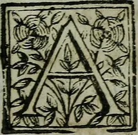 An illustration from Pinacotheca, siue, Romana pictura et sculptura, libri duo : in quibus excellentes quaedam, qua profanae, qua sacrae, quae Romae extant, picturae ac statuae, epigrammatis exornantur : accessit odarum appendicula, ad lyrici carminis libamentum (1673)