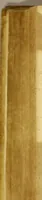An illustration from Pinax botanonymos polyglottos katholikos, Index nominum plantarum universalis, : diversis terrarum, gentiúmque linguis, quotquot ex auctoribus ad singula plantarum nomina excerpi & juxta seriem A.B.C. collocari potuerunt, ad unum redactus, videlicet: Europaeorum Latinâ sive vetere Romanâ, Graecâ antiquâ, Italicâ cum suis, Hetruriâe, Istriae, Venetorum, Forojuliensium, nec non insularum adjacentum Malthae, Cretae vel Candiae, Lesbi, &c. Dialectis, Hispanicâ, Lusitanicâ & in ea regnorum Cataloniae, Valentiae, &c. Gallicâ vetere & neotericâ cum suis, Burgundiae, Narbonae, Parisiensium, &c. idiomatibus. Anglicâ, Scoticâ & Irlandicâ. it: Danicâ, Germanicâ cum suis, Silesiorum, Marchicorum, Pomeranorum, Borussorum &c. sermonum proprietatibus. Belgicâ cum sua Brabanticâ. Bohemicâ, Polonicâ, Lituanicâ, Vinidicâ, Rutenicâ, Wallachicâ olim Dacicâ, Hungaricâ, Sclavonicâ, Croaticâ. &c. Asiaticorum, Hebraeâ, Chaldaicâ, Syriacâ, Arabicâ, Turcicâ cum sua Tripolitana, &c. Tartaricâ, Persicâ, Malabaricâ, Bramanicâ olim Brachmanicâ, prophetarum, magorúmq[ue], veterum, Zeilanicâ sive Cingalicâ, Javanicâ, Bengalicâ, Sinicâ, Japonicâ, Malaicâ, Coreicâ. &c. Africanorum Aegyptiacâ, Aethiopicâ, Mauritanicâ sive Barbaricâ & Tunensium, cum poenorum antiqua, Canaricâ & Madagascaricâ. Americanorum, Brasilianâ, Virginianâ, Mexicanâ & adjacentium populorum aliorúmq[ue] in insulis, & continente solo, hinc inde habitantium, quorum sermonum nomina non omnibus, sed quibusdam tantùm plantis, quotquot apud auctores reperta fuerunt, sparsim adposita sunt. Characteribus Latinorum, Graecorum & Germanorum maximè per Europam usitatis conscriptus, & ita concinnatus, ut plantarum genera, species, colorum & quarumvis partium differentiae, quotquot erudicti ad hunc usque diem adnotarunt , ordine legitimo inter se collocarenrur: citatis (quod improbum laborem requisivit) classicorum auctorum & eorum, qui in plerisque suprâ laudatis linguis scripserunt, locis genuinis & correctis, ab ipso Hippocrate ad nostri seculi usq[ue] botanicos vel novissimè exortos, desumptis, ut cuilibet in sua lingua evolvendi libros herbarios daretur ansa, si quid circa quamlibet herbam ultrà scire desideret, adeò ut index hic minoris lexici, nunquam non amplificandi, vicem praebeat, sicuti pluribus ex breviloquio ad lectorem constat. In gratiam botanophilorum non tantùm eruditorum, sed etiam hortulanorum illiteratorum, ut nomina plantarum rectè scribere, pronunciare, suis usibus applicare, eoque instar perpetui catalogi frui possent. Accessit in calce indicis pugillus plantarum rariorum cum figuris aliquot aeneis, & brevibus nonnullis descriptionibus, quarum mentio in indice facta. His, ut indicum multitudo evitaretur, intertextus est nonnullarum Brasiliae plantarum indiculus, quarum nomina apud clar: pisonem & alios non extant, cum quibusdam clar: Jac: Breynii rarioribus, quae prodromus ejus fasciculi rariorum plantarum habet, & aliis, partim indice contentis, partim indice absolutô, demum appendicis locô adjectis. (1682)