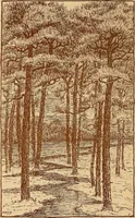 An illustration from The pine-needle basket book (1911)