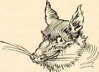 An illustration from Pinocchio : the tale of a puppet (1911)