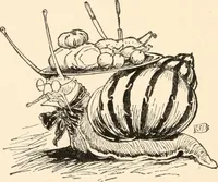 An illustration from Pinocchio : the tale of a puppet (1911)