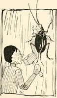 Picture 11 of 105 from Pinocchio : the tale of a puppet (1911), leaf 44