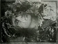 Picture 16 of 25 from Pinturicchio : biographie critique (1908), leaf 86