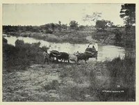 Picture 3 of 9 from Pionniers parmi les ma-Rotse (1903), leaf 109