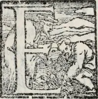 An illustration from Piovana comedia, overo noella del Tasco di Ruzante (1552)