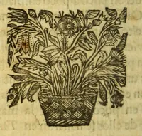 An illustration from Piratas de la America. : Y luz à la defensa de las costas de Indias occidentales, dedicado al muy noble señor Don Francisco Lopez Suazo. (1682)