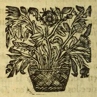 An illustration from Piratas de la America. : Y luz à la defensa de las costas de Indias occidentales, dedicado al muy noble señor Don Ricardo de Whyte, cavallero del Orden militar de Calatrava &c. (1682)