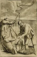 Picture 13 of 45 from Piscatio philosophica : Excellentiae Ill[ustrissi]me ac Reuerendissime D.D. Georgii Cornelii, Ecclesie Patauine Episcopi dicata (1662), leaf 19