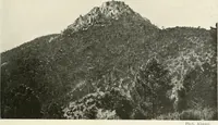 An illustration from Pise et Lucques (1914)