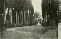 An illustration from Pise et Lucques (1914)