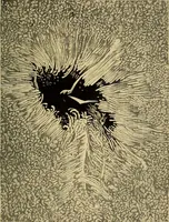 An illustration from The pith of astronomy <without mathematics>; the latest facts and figures as developed by the giant telescopes; (1896)