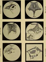 An illustration from The pith of astronomy <without mathematics>; the latest facts and figures as developed by the giant telescopes; (1896)