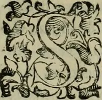 An illustration from Felsina pittrice : vite de pittori bolognesi (1678)