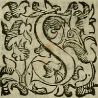 Picture 29 of 95 from Felsina pittrice : vite de pittori bolognesi (1678), leaf 186
