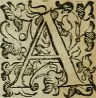 Picture 8 of 95 from Felsina pittrice : vite de pittori bolognesi (1678), leaf 28