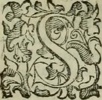 An illustration from Felsina pittrice : vite de pittori bolognesi (1678)