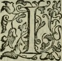 Picture 56 of 95 from Felsina pittrice : vite de pittori bolognesi (1678), leaf 338