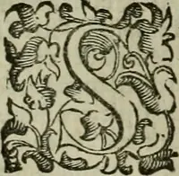 Picture 60 of 95 from Felsina pittrice : vite de pittori bolognesi (1678), leaf 352