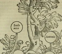 Picture 78 of 95 from Felsina pittrice : vite de pittori bolognesi (1678), leaf 478