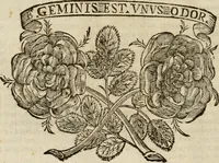 An illustration from Felsina pittrice : vite de pittori bolognesi (1678)