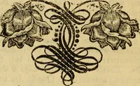 Picture 17 of 24 from Le pitture di Cento e le vite in compendio di varj incisori e pittori della stessa città (1768), leaf 57