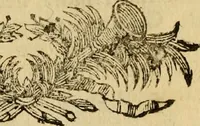 Picture 21 of 24 from Le pitture di Cento e le vite in compendio di varj incisori e pittori della stessa città (1768), leaf 67