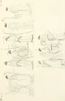 An illustration from Pitture di vasi fittili, esibite dal cav. F. Inghirami per servire di studio alla mitologia ed all storia degli antichi popoli (1838)