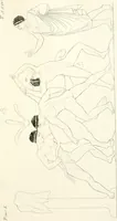 An illustration from Pitture di vasi fittili, esibite dal cav. F. Inghirami per servire di studio alla mitologia ed all storia degli antichi popoli (1838)