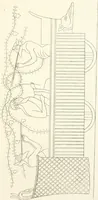 An illustration from Pitture di vasi fittili, esibite dal cav. F. Inghirami per servire di studio alla mitologia ed all storia degli antichi popoli (1838)