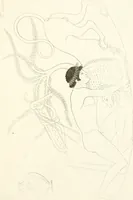An illustration from Pitture di vasi fittili, esibite dal cav. F. Inghirami per servire di studio alla mitologia ed all storia degli antichi popoli (1838)