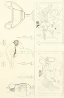 An illustration from Pitture di vasi fittili, esibite dal cav. F. Inghirami per servire di studio alla mitologia ed all storia degli antichi popoli (1838)