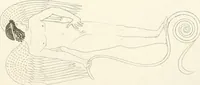 An illustration from Pitture di vasi fittili, esibite dal cav. F. Inghirami per servire di studio alla mitologia ed all storia degli antichi popoli (1838)