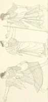 An illustration from Pitture di vasi fittili, esibite dal cav. F. Inghirami per servire di studio alla mitologia ed all storia degli antichi popoli (1838)