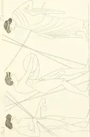 An illustration from Pitture di vasi fittili, esibite dal cav. F. Inghirami per servire di studio alla mitologia ed all storia degli antichi popoli (1838)