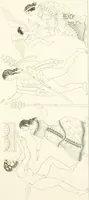 An illustration from Pitture di vasi fittili, esibite dal cav. F. Inghirami per servire di studio alla mitologia ed all storia degli antichi popoli (1838)