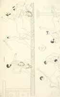 An illustration from Pitture di vasi fittili, esibite dal cav. F. Inghirami per servire di studio alla mitologia ed all storia degli antichi popoli (1838)