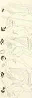 An illustration from Pitture di vasi fittili, esibite dal cav. F. Inghirami per servire di studio alla mitologia ed all storia degli antichi popoli (1838)