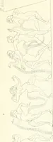 An illustration from Pitture di vasi fittili, esibite dal cav. F. Inghirami per servire di studio alla mitologia ed all storia degli antichi popoli (1838)