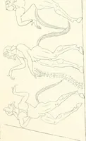 An illustration from Pitture di vasi fittili, esibite dal cav. F. Inghirami per servire di studio alla mitologia ed all storia degli antichi popoli (1838)