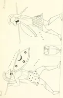 An illustration from Pitture di vasi fittili, esibite dal cav. F. Inghirami per servire di studio alla mitologia ed all storia degli antichi popoli (1838)