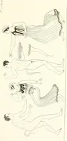 An illustration from Pitture di vasi fittili, esibite dal cav. F. Inghirami per servire di studio alla mitologia ed all storia degli antichi popoli (1838)
