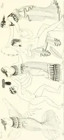 An illustration from Pitture di vasi fittili, esibite dal cav. F. Inghirami per servire di studio alla mitologia ed all storia degli antichi popoli (1838)