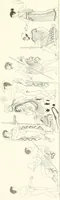 An illustration from Pitture di vasi fittili, esibite dal cav. F. Inghirami per servire di studio alla mitologia ed all storia degli antichi popoli (1838)