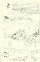 An illustration from Pitture di vasi fittili, esibite dal cav. F. Inghirami per servire di studio alla mitologia ed all storia degli antichi popoli (1838)
